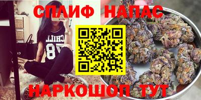 стаф Ставрополь