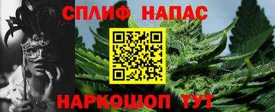 стаф Ставрополь